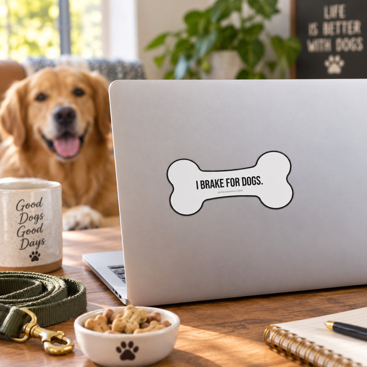 Dog Person Vinyl, UV, Bumper Stickers | Funny Dog Lover Gift – 4 Pack